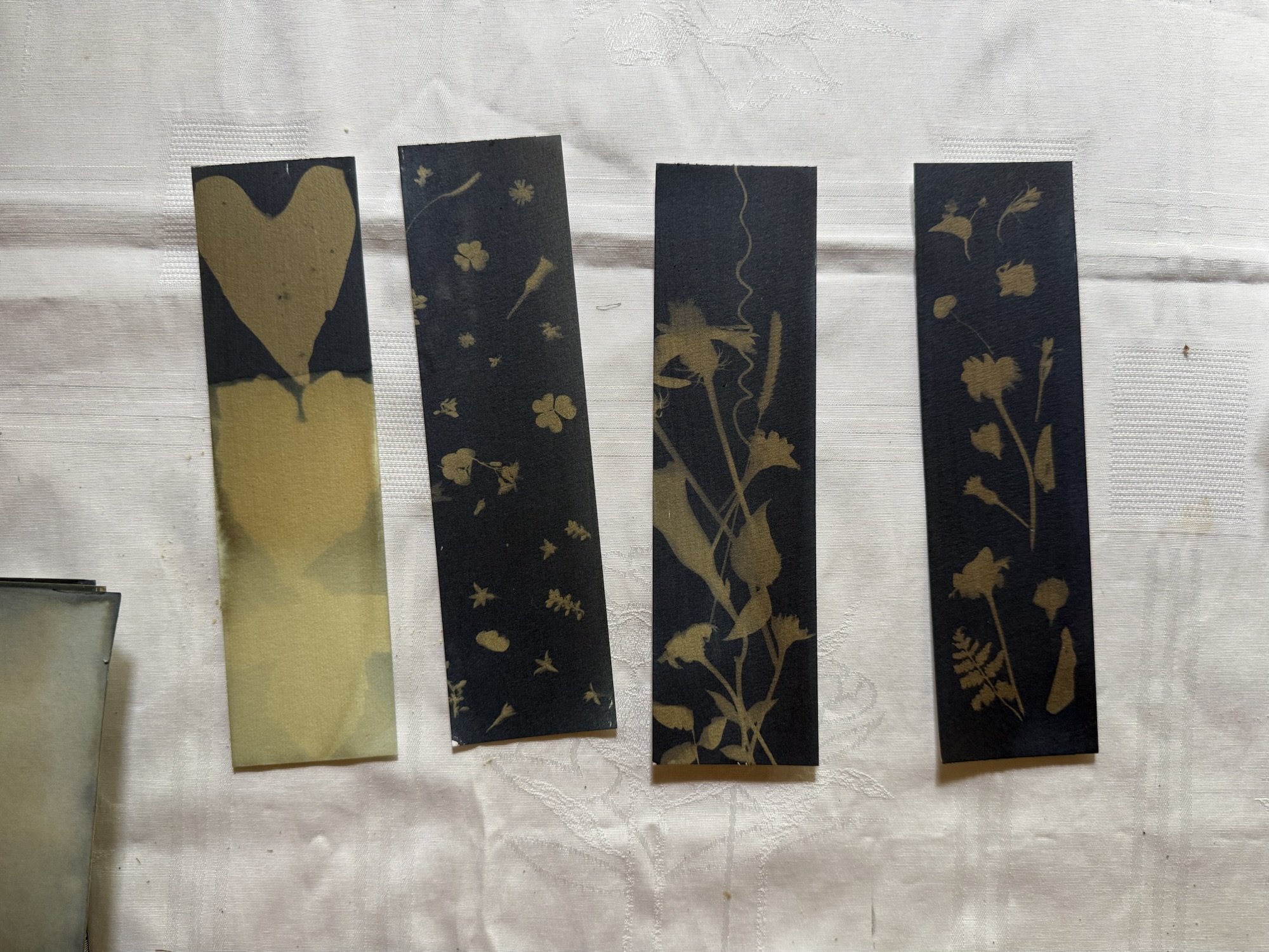 Floral Experiments in Cyanotype Printing